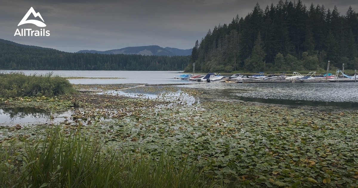 Best hikes and trails in Mesachie Lake AllTrails