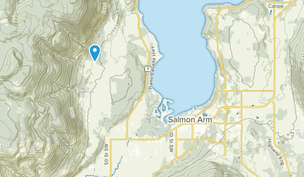 Salmon Arm, British Columbia Map