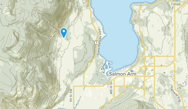 Salmon Arm, British Columbia Map