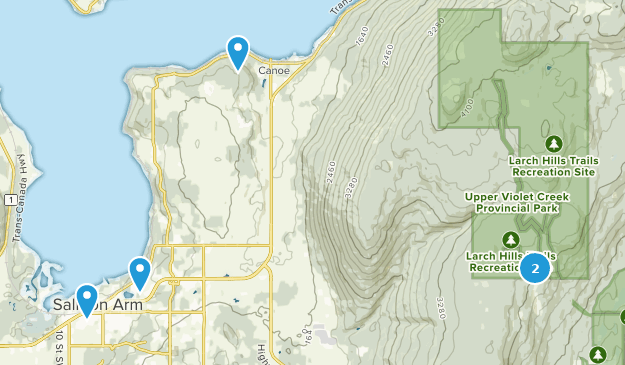 Salmon Arm, British Columbia Map