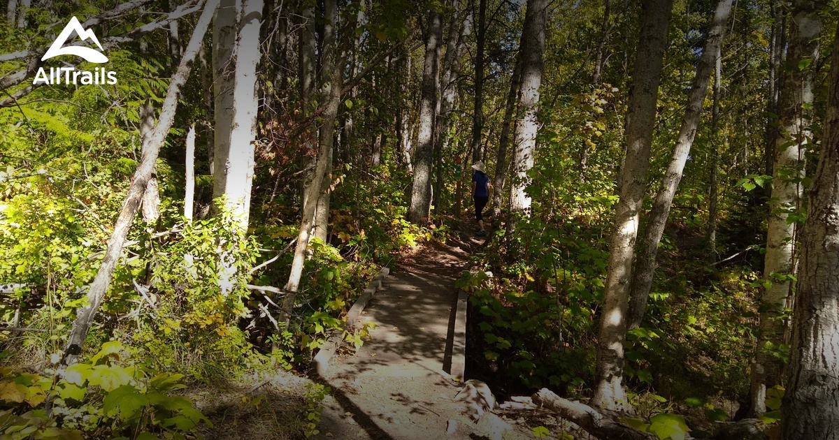 10 Best trails and hikes in Salmon Arm | AllTrails