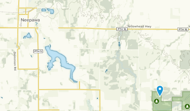 Neepawa, Manitoba Map