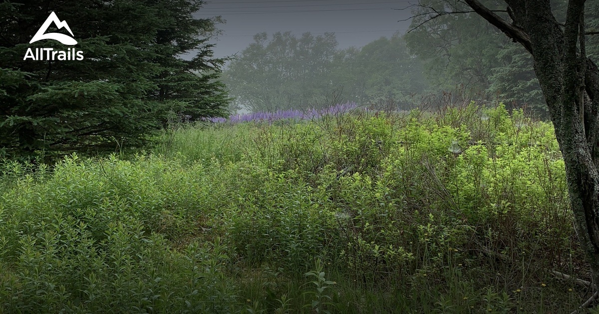 Best hikes and trails in Chocolate Cove AllTrails