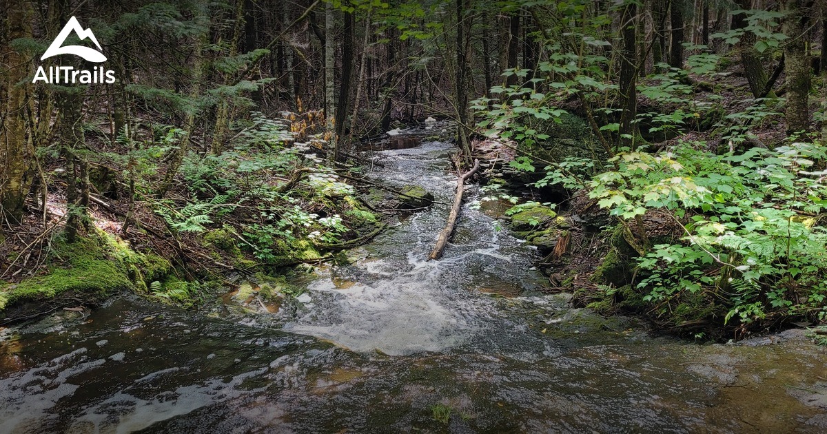 Best hikes and trails in Estey's Bridge AllTrails