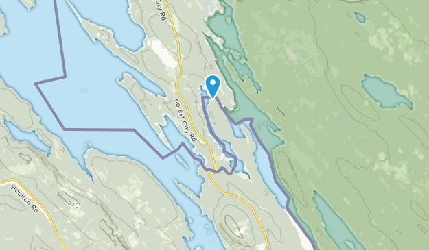 Forest City, Nouveau-Brunswick Map