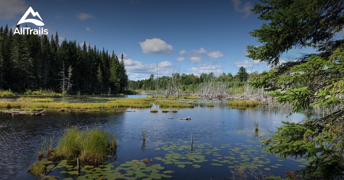 Best trails in Mactaquac, New Brunswick | AllTrails