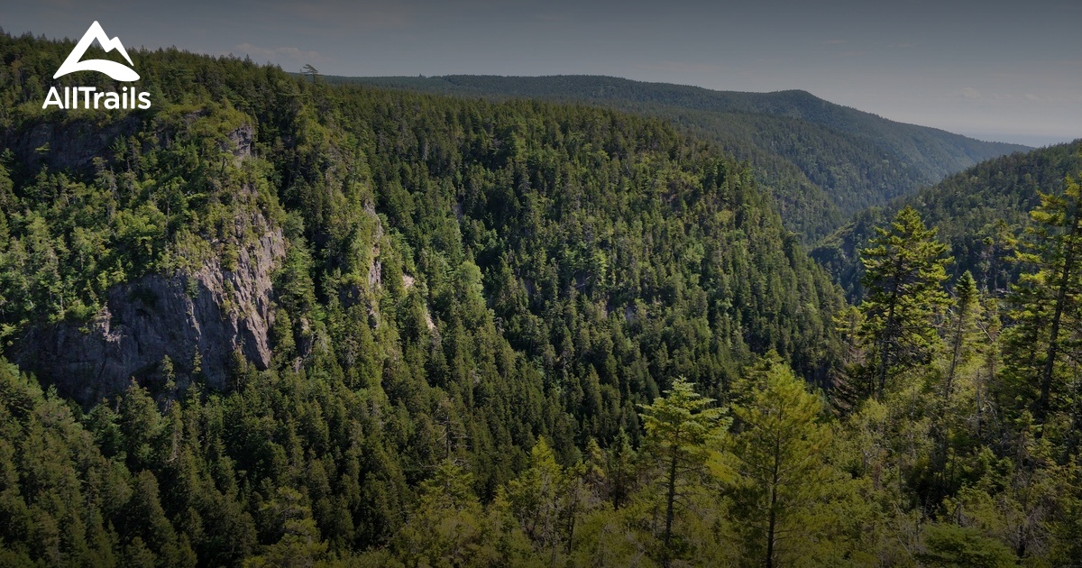 Best hikes and trails in Shepody Kings Co AllTrails