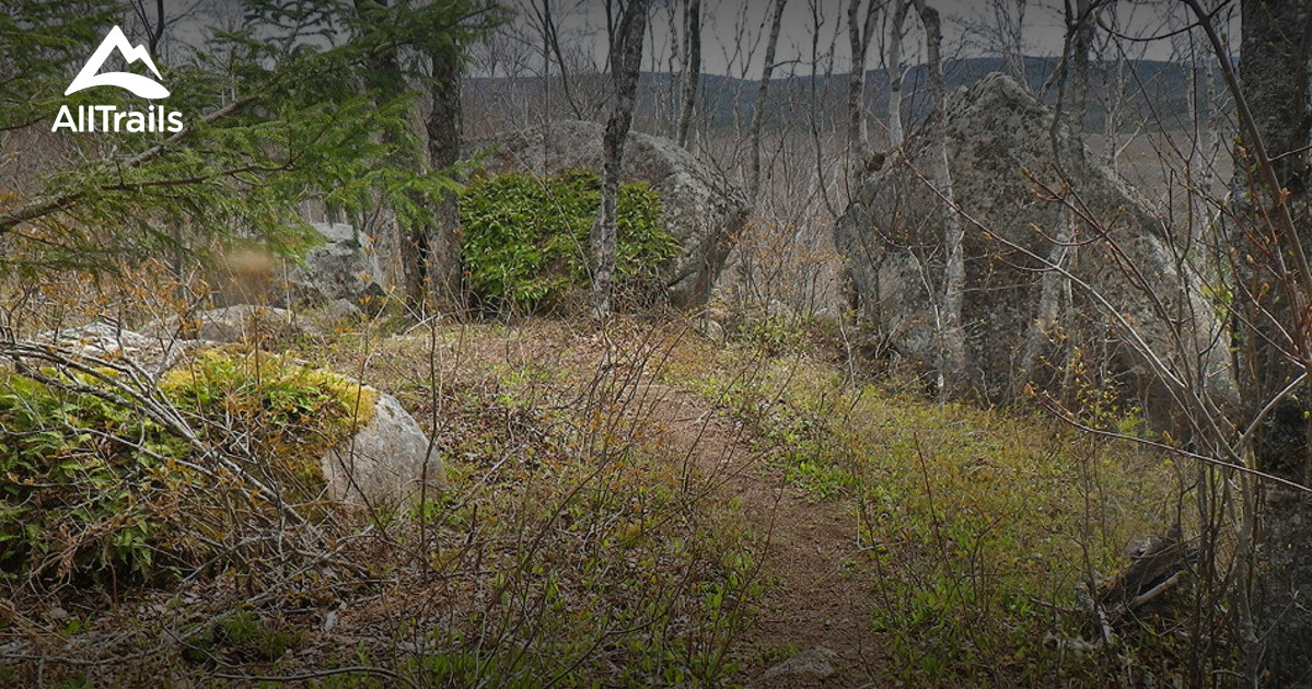 Best Trails near South Oromocto Lake, New Brunswick Canada AllTrails