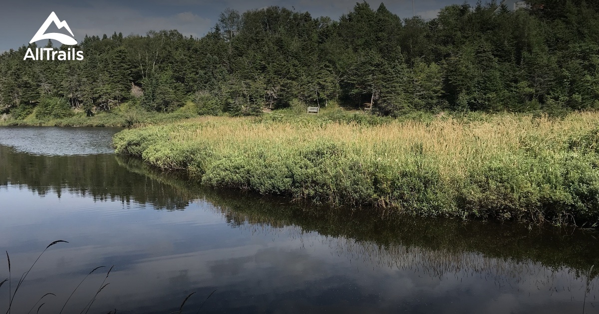 Best city walk trails in Conception Bay South AllTrails