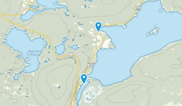Gambo, Newfoundland and Labrador Map