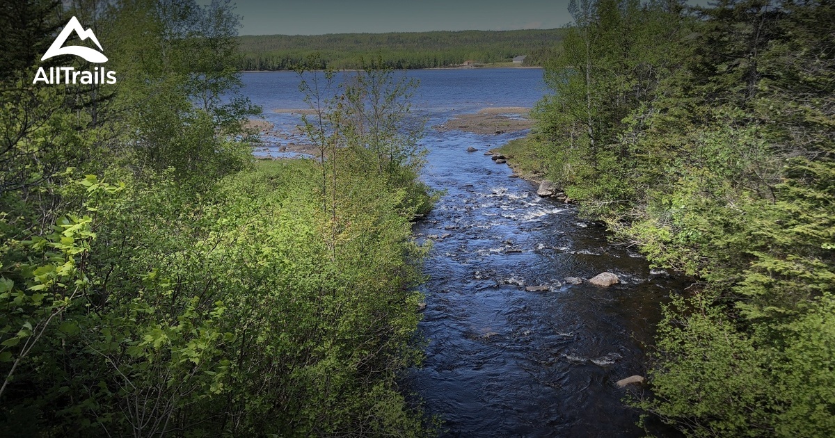 Best hikes and trails in Norris Arm AllTrails