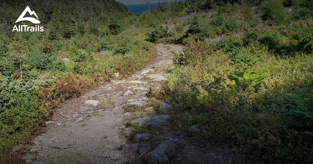 Best hikes and trails in Plate Cove West AllTrails