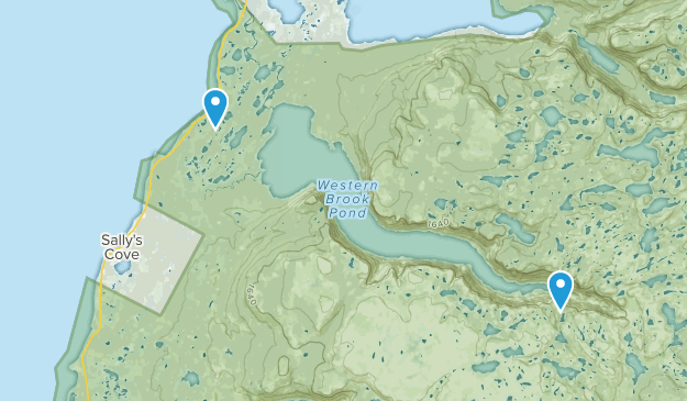 Sallys Cove, Newfoundland and Labrador Map