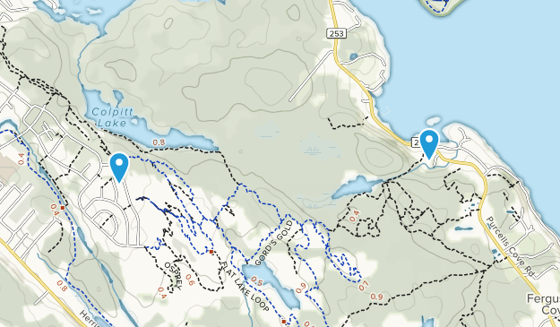 Fergusons Cove, Nova Scotia Map