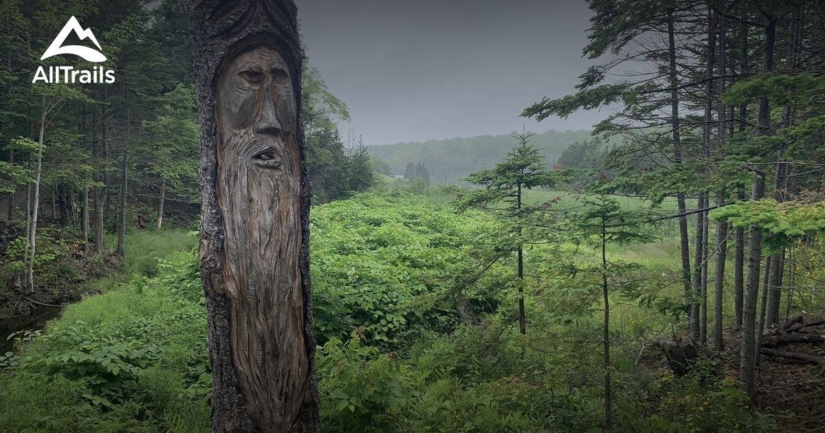 Best hikes and trails in Port Hawkesbury AllTrails