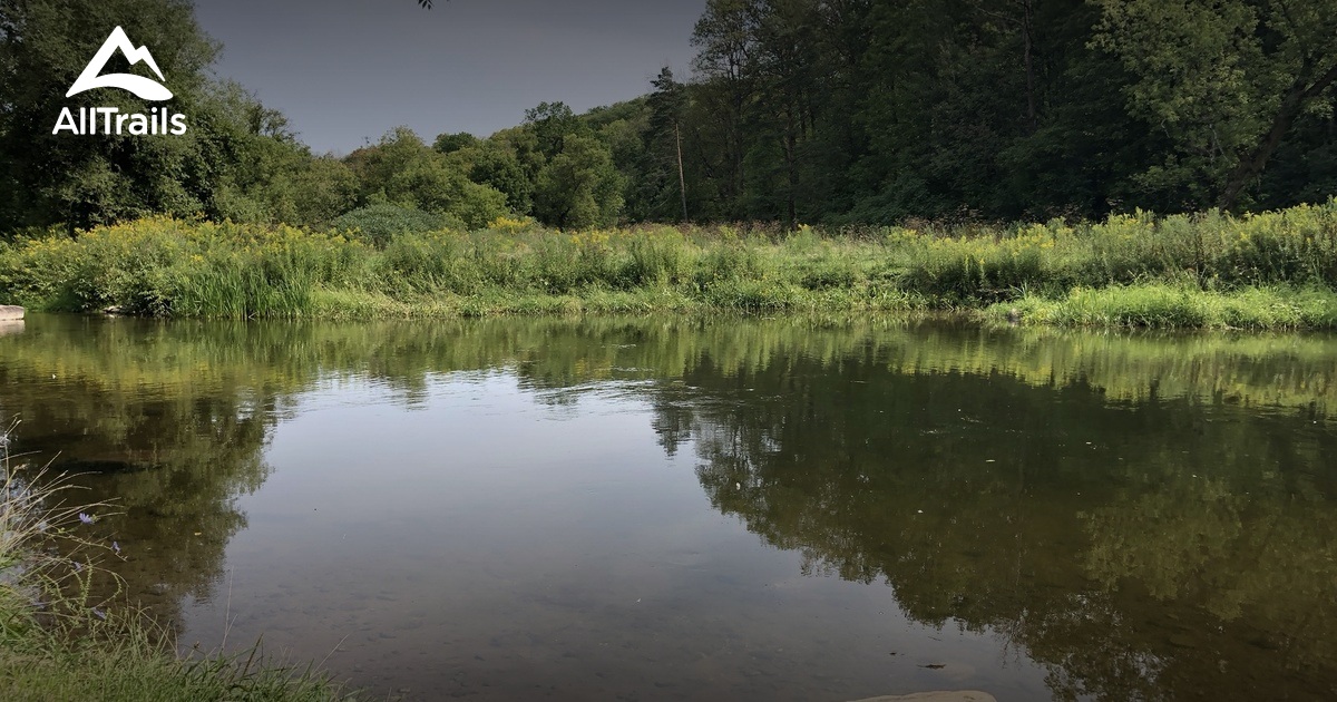 Best hikes and trails in Belfountain AllTrails