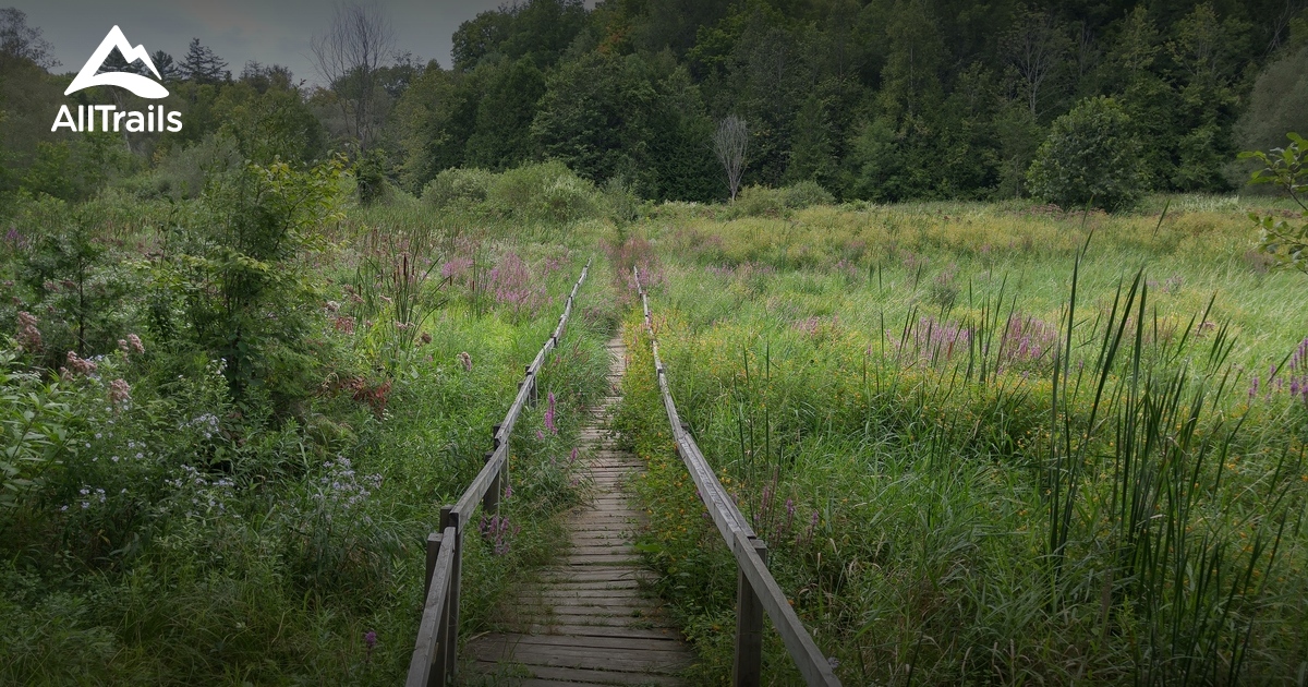 Best Trails Near Bradford West Gwillimbury Ontario Canada Alltrails