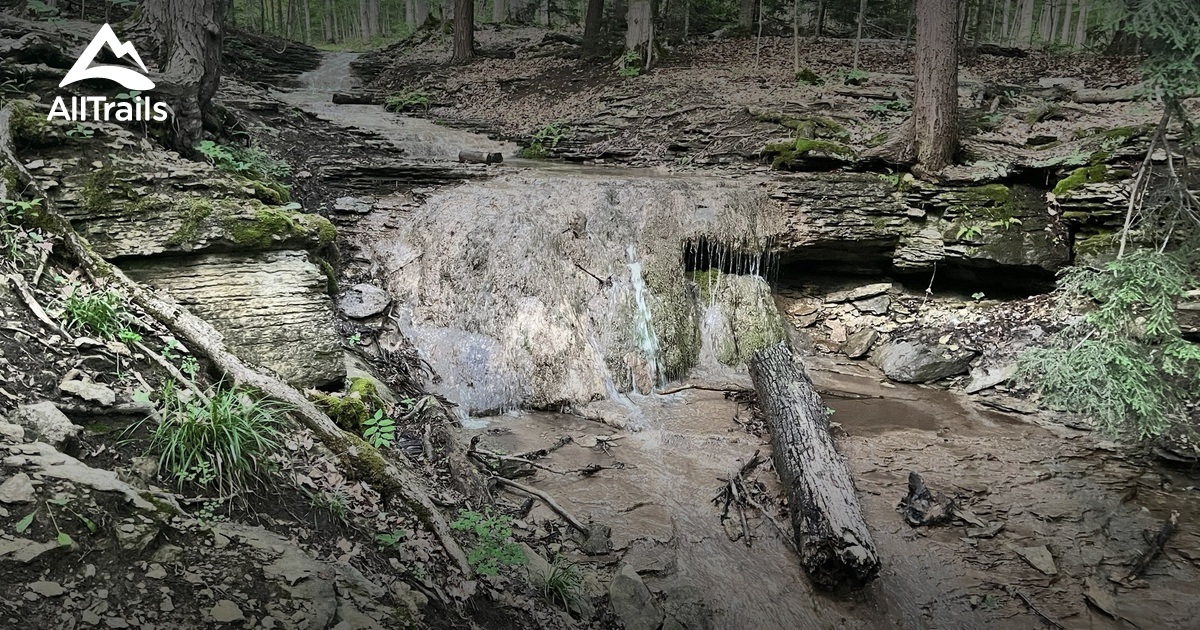 Best easy trails in Clarksburg | AllTrails