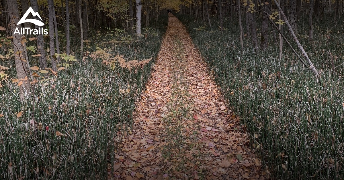 Best Trails, Walks, and Paths in Coboconk | AllTrails