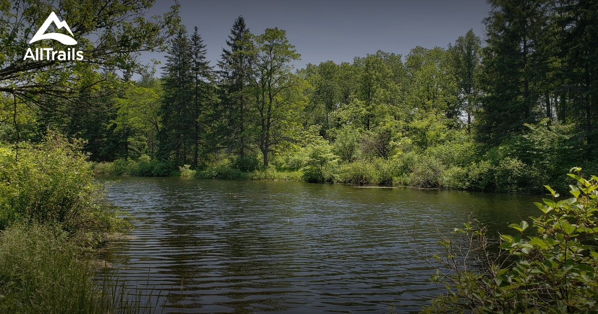 10 Best trails and hikes in County of Brant AllTrails