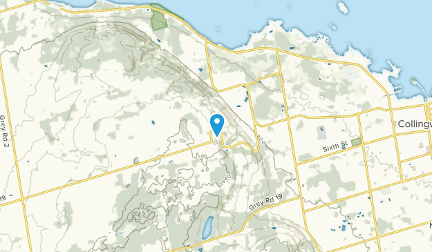 Craigleith, Ontario Map