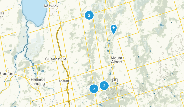 East Gwillimbury, Ontario Map