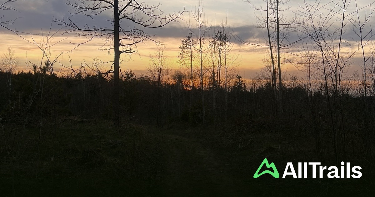 Best easy trails in Egbert | AllTrails