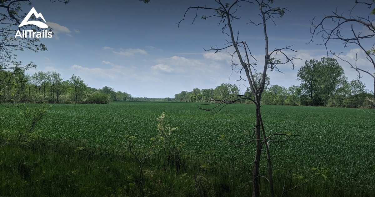 Best hikes and trails in Fingal AllTrails