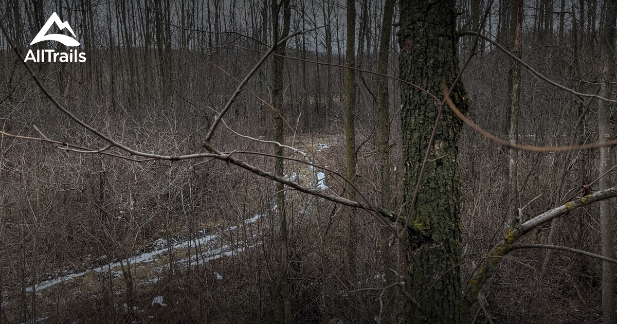 Best hikes and trails in Gads Hill AllTrails