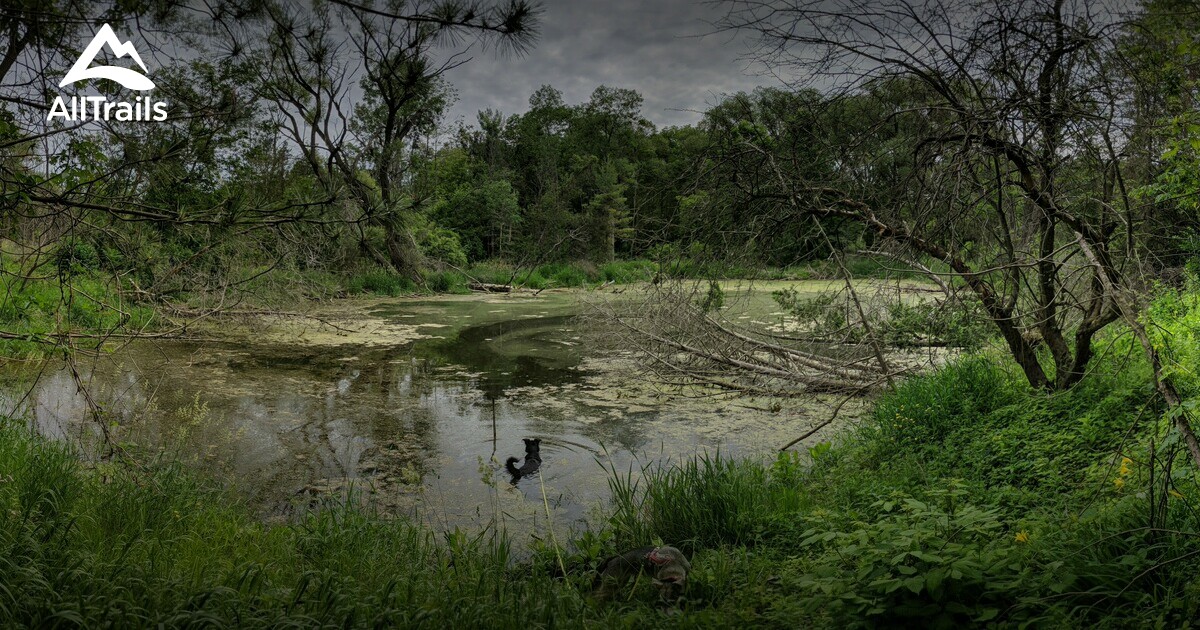 Best hikes and trails in Gilford AllTrails