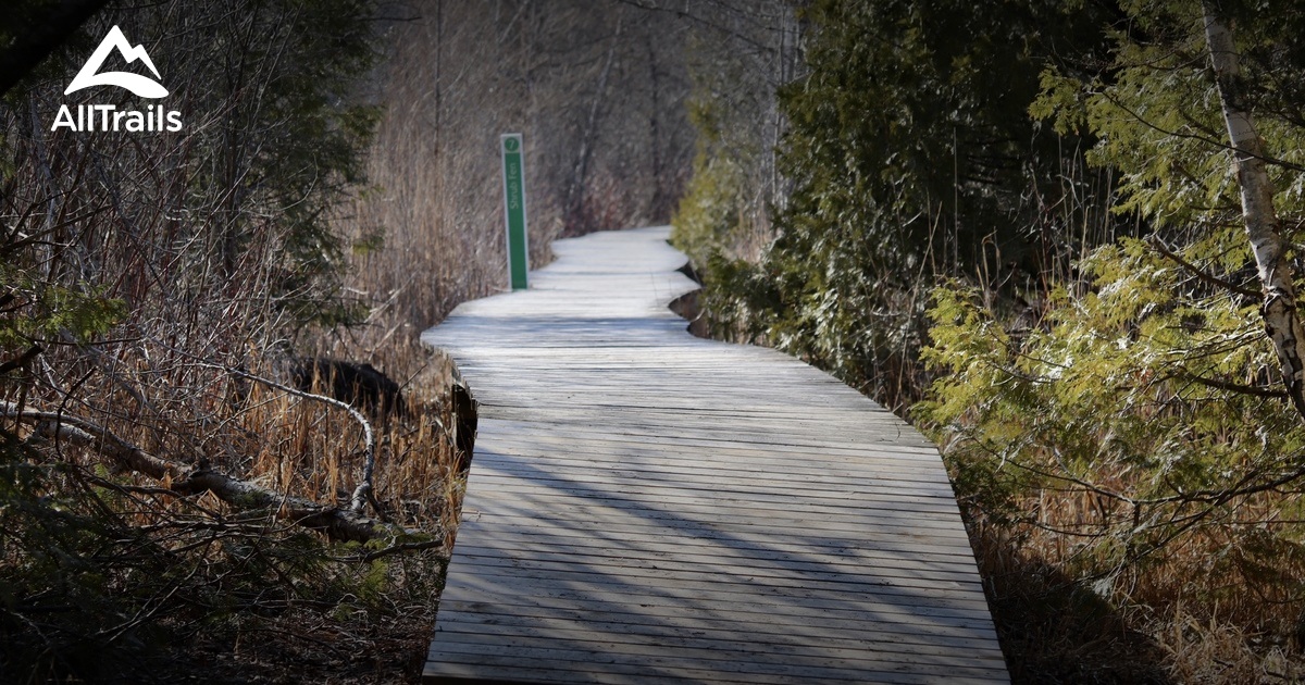 Best trails in Greater Napanee, Ontario AllTrails