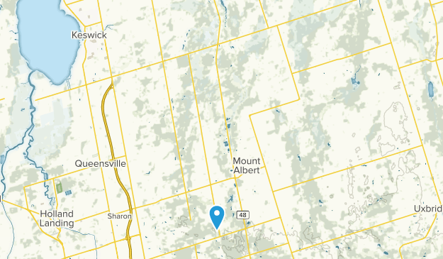 Mount Albert, Ontario Map