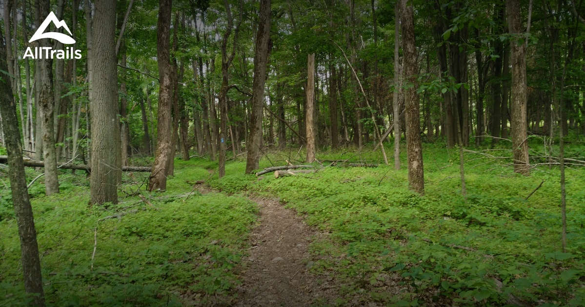 10 Best trails and hikes in Mulmur AllTrails