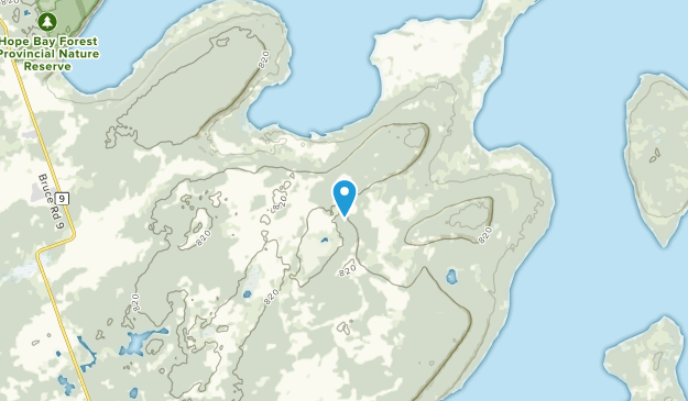 Neyaashiinigmiing Reserve, Ontario Map