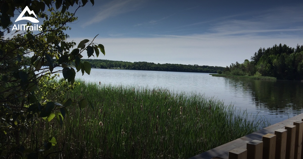 Best Beach Trails in Orangeville | AllTrails