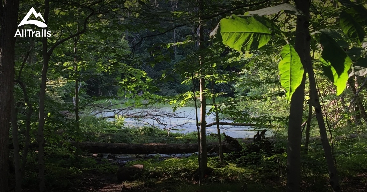 puslinch mountain bike trails