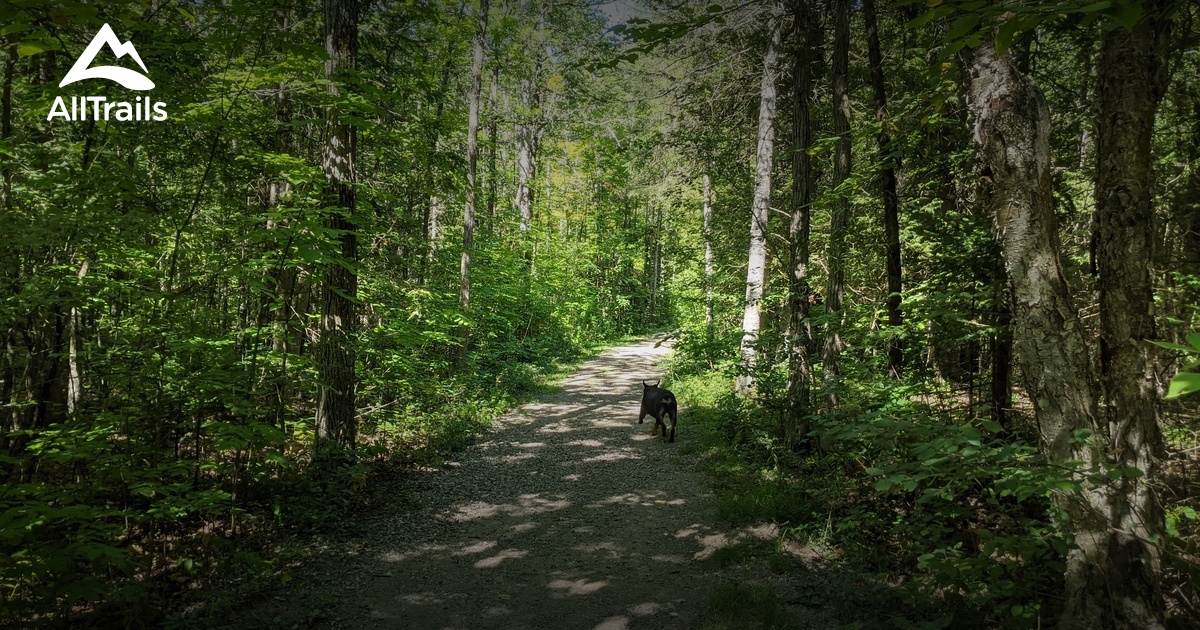 Best hikes and trails in Renfrew AllTrails