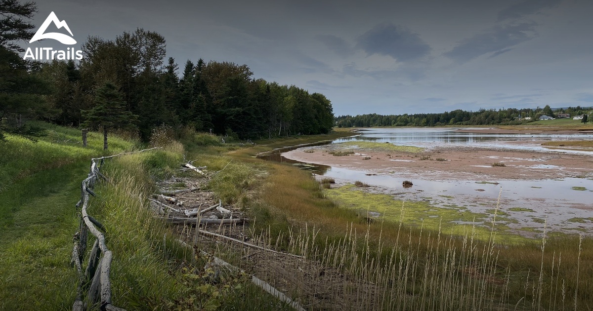 Best Forest Trails in Hope Town AllTrails