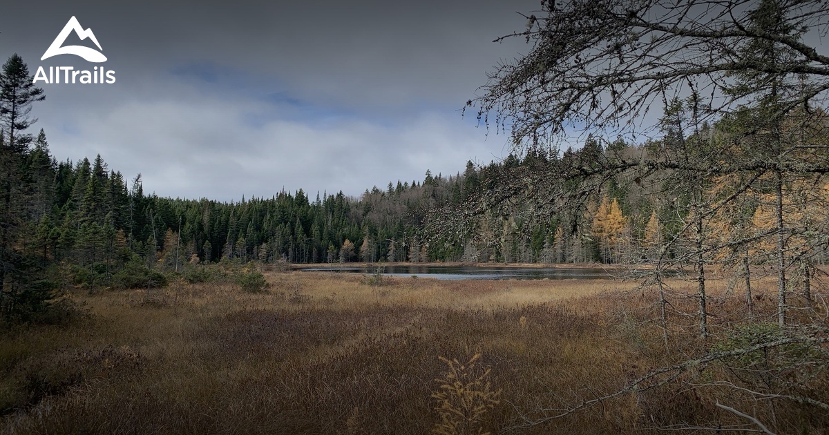 2023 Best River Trails in RiviereAPierre AllTrails