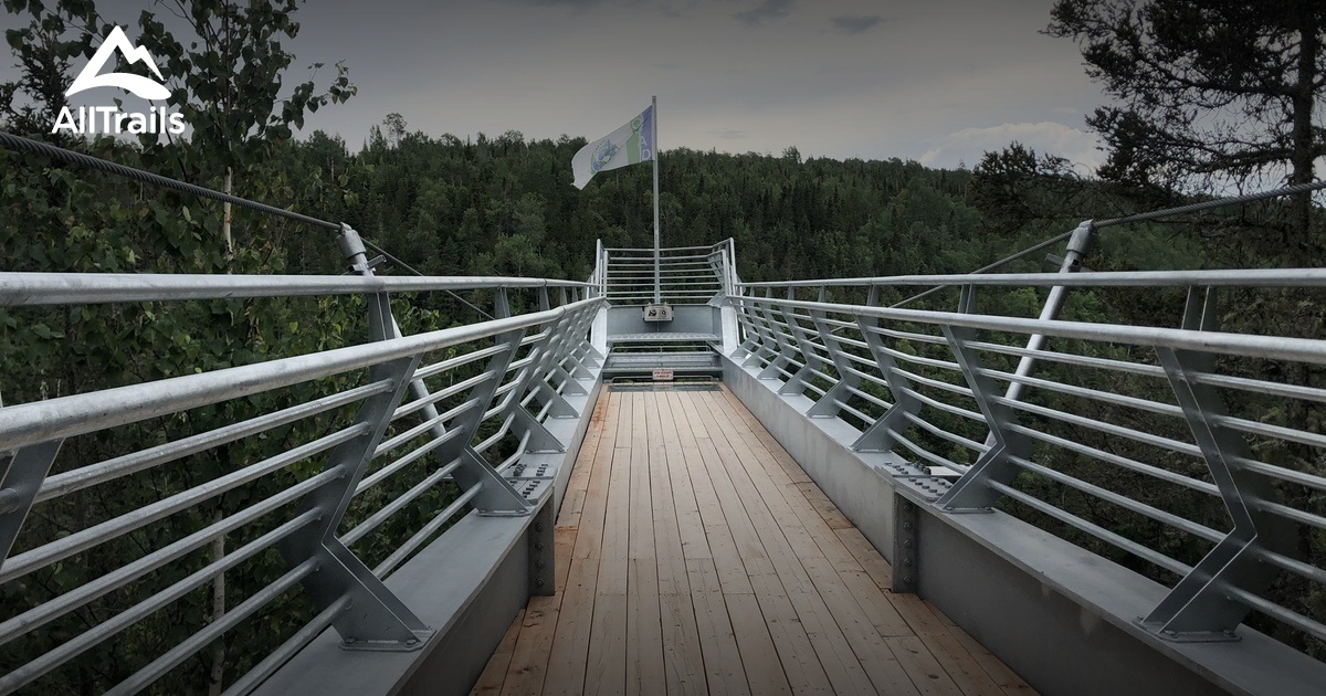 Best forest trails in SaintAlexandredesLacs AllTrails