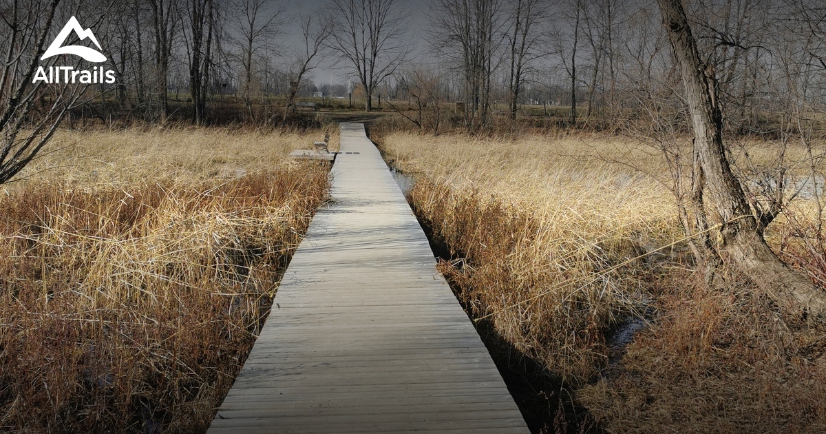 2023 Best Forest Trails in SainteGenevièveDeBerthier AllTrails