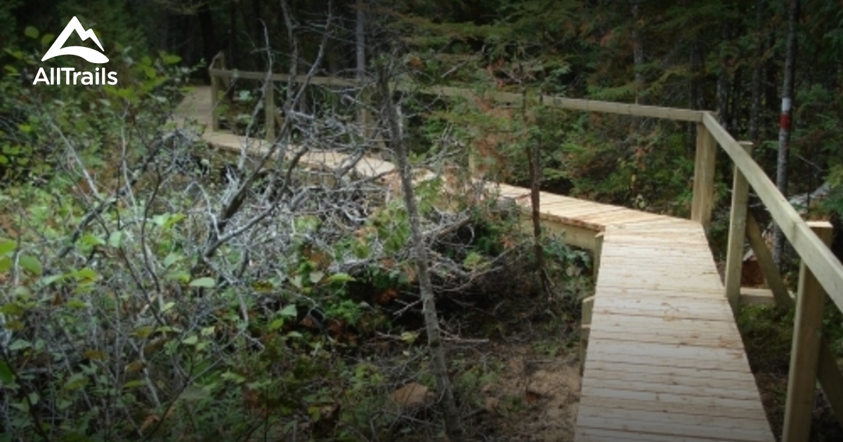 Best Trails in SainteRita AllTrails