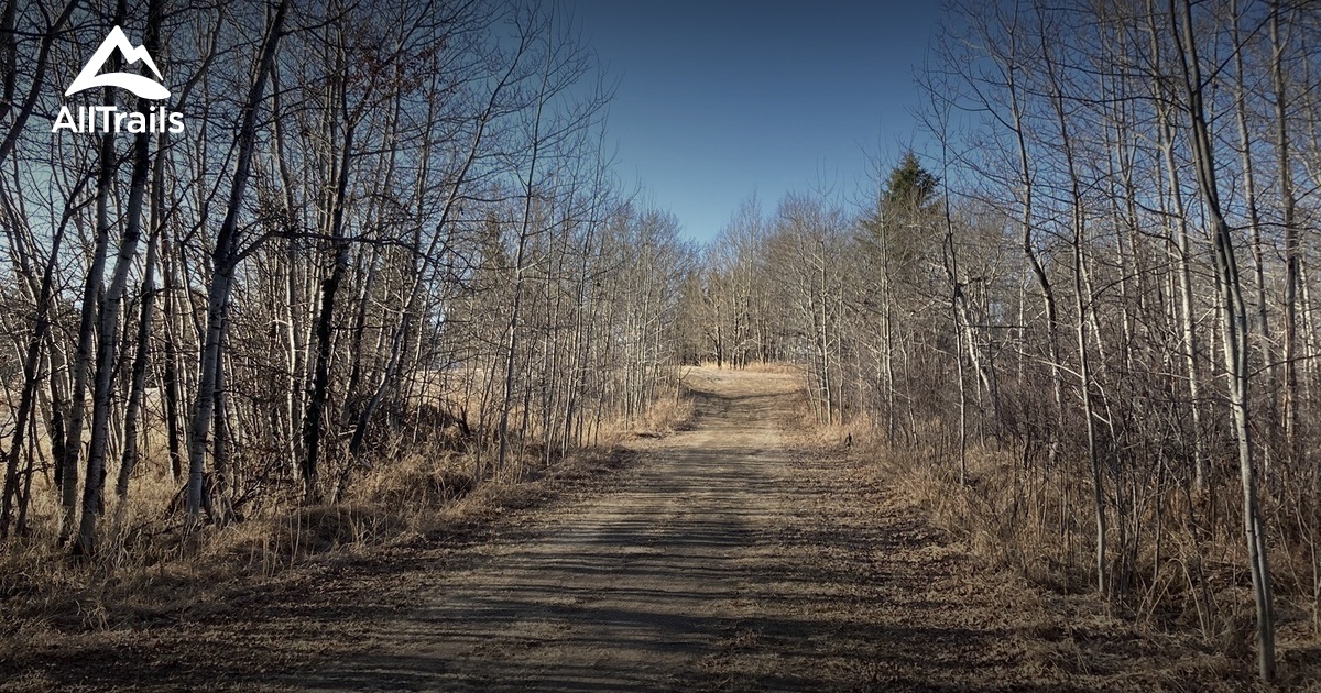 Best Hikes and Trails in Spruce Lake AllTrails