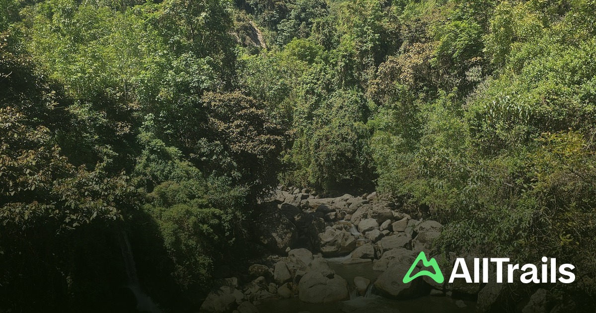 Best hikes and trails in Gachetá | AllTrails