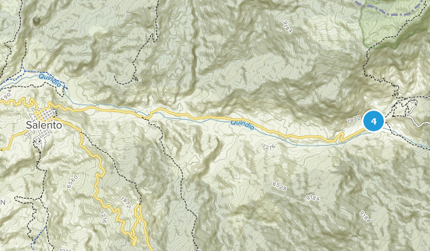 Salento, Quindío Map