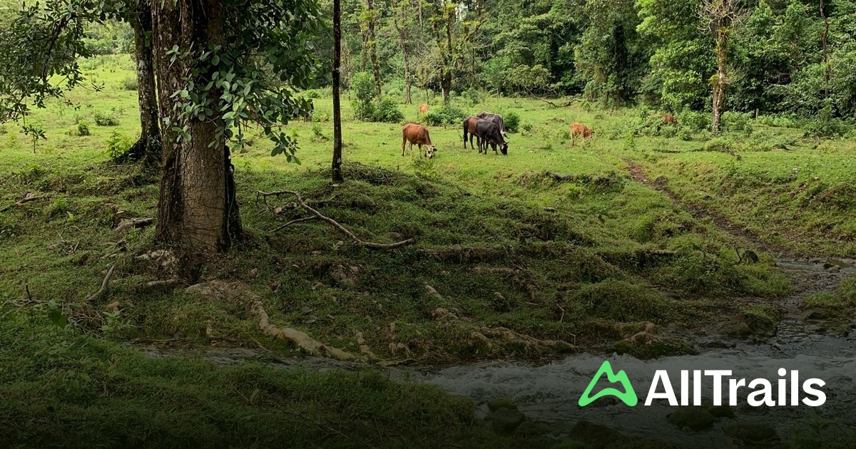 Best easy trails in Dos Ríos | AllTrails