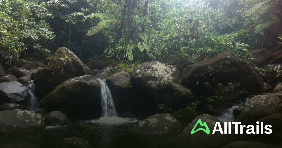 Los mejores senderos con río en Guapiles | AllTrails