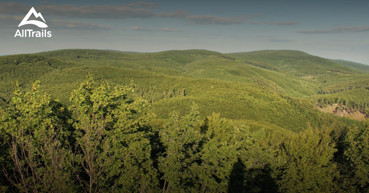 2023 Best 10 Trails and Hikes in Čačinci | AllTrails