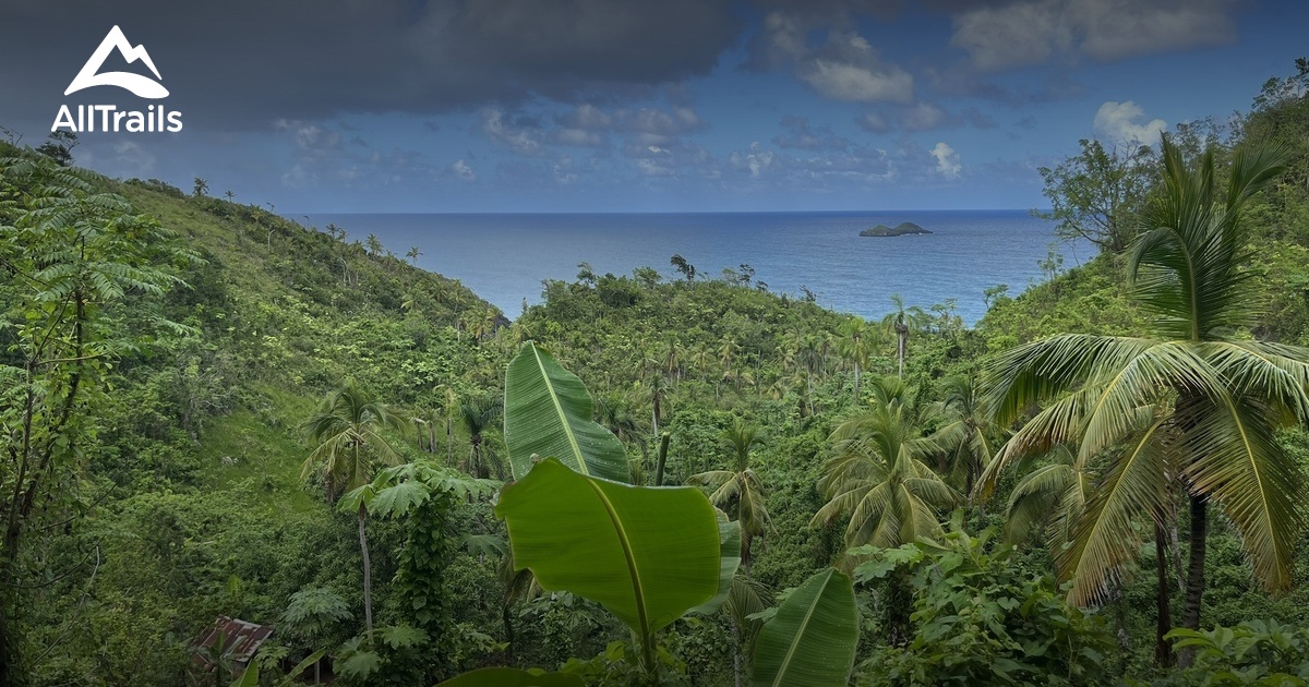 Samana Rivers Best river trails in Samaná | AllTrails