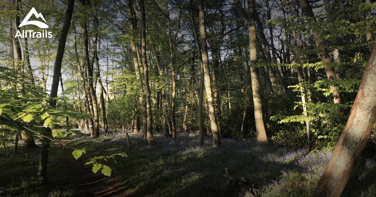 Best hikes and trails in Sandhurst | AllTrails